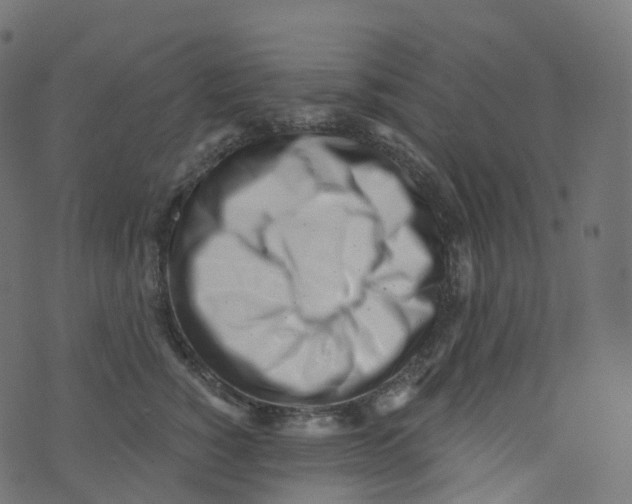 X0000073460760200608251731