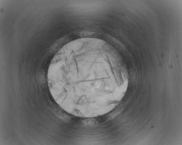 X0000073460761200608251731