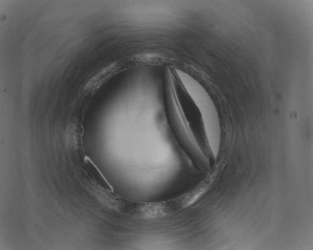 X0000073460762200608251731