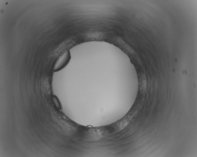 X0000073460764200608251731