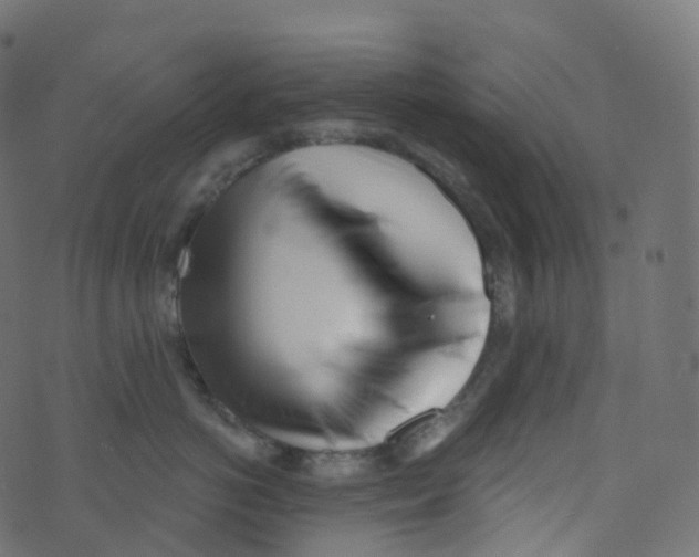 X0000073460766200608251731