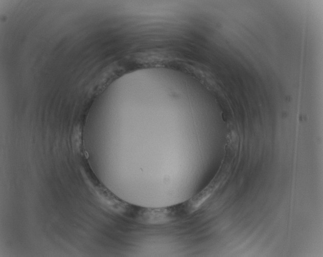 X0000073460767200608251731