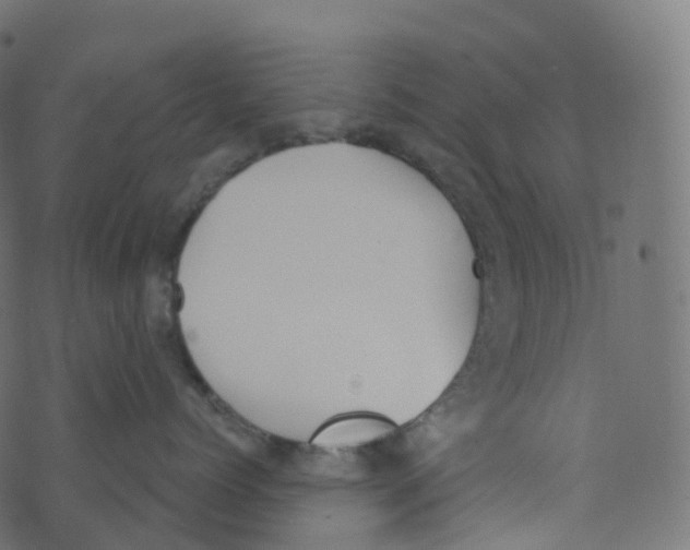 X0000073460768200608251732