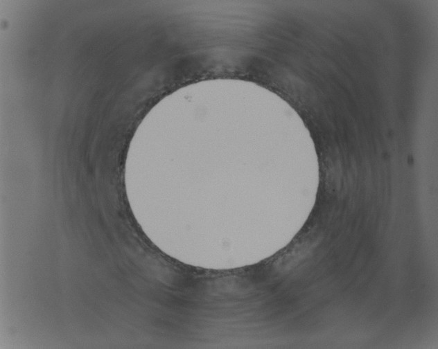 X0000073460769200608251731