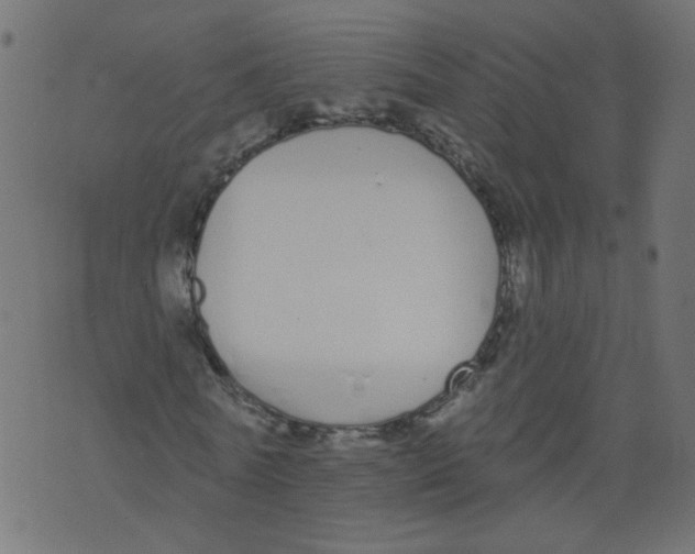 X0000073460770200608251731