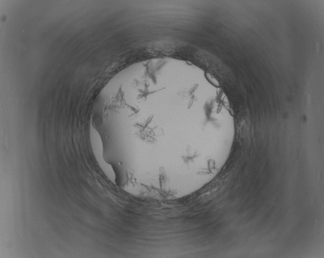 X0000073460772200608251731