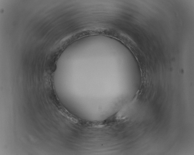 X0000073460773200608251731