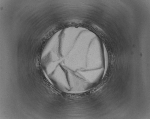 X0000073460774200608251731