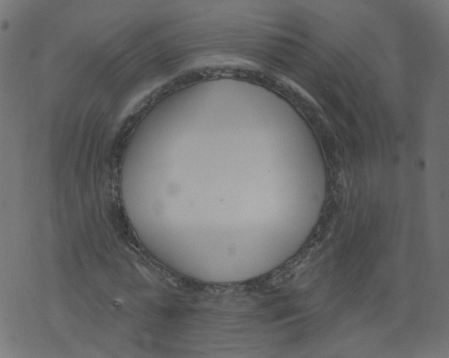 X0000073460775200608251731