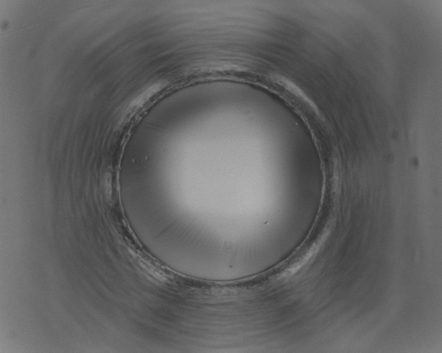 X0000073460777200608251731