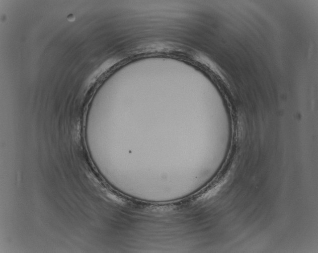 X0000073460778200608251731