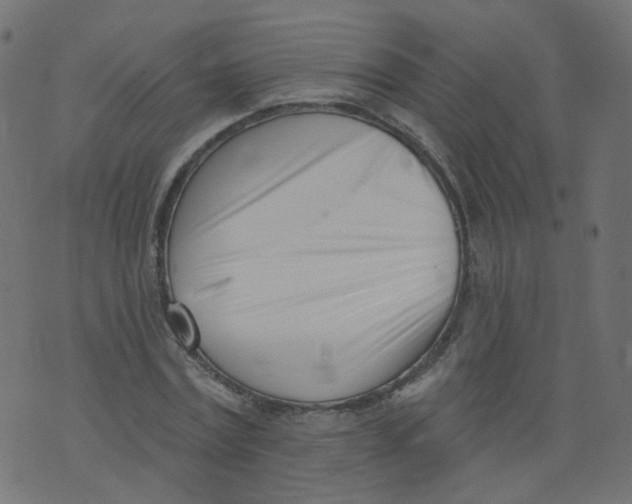 X0000073460779200608251731