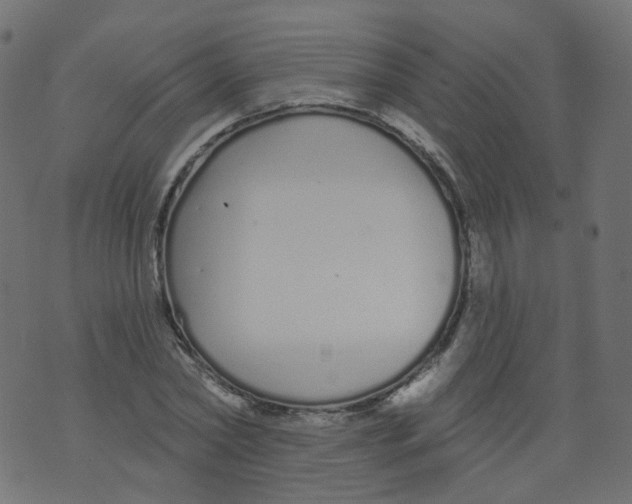 X0000073460782200608251730