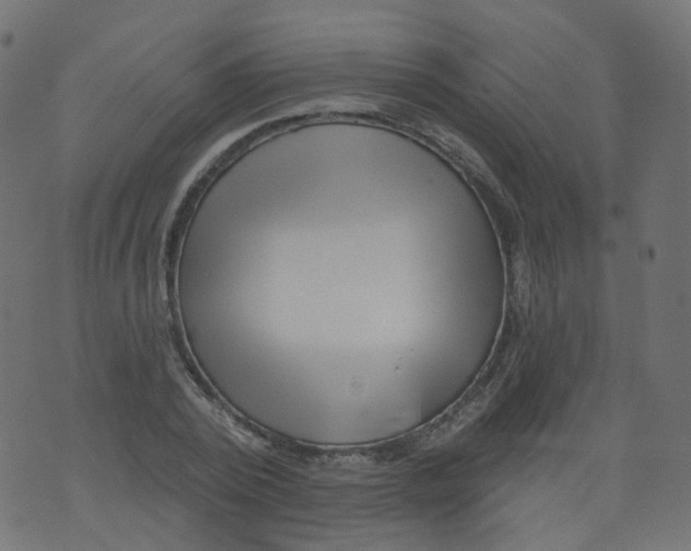 X0000073460784200608251730