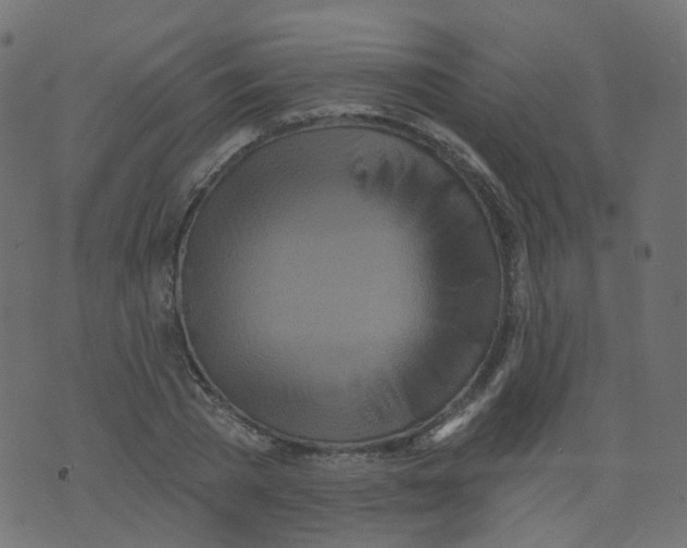 X0000073460785200608251730