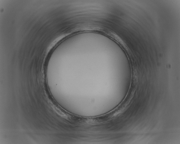 X0000073460787200608251730