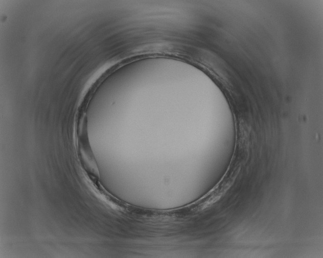 X0000073460788200608251730