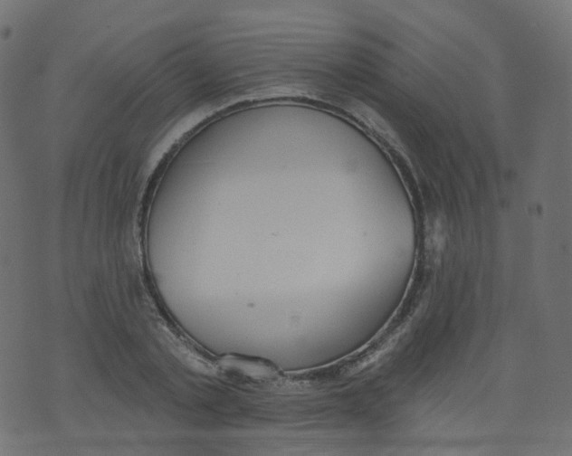 X0000073460789200608251730