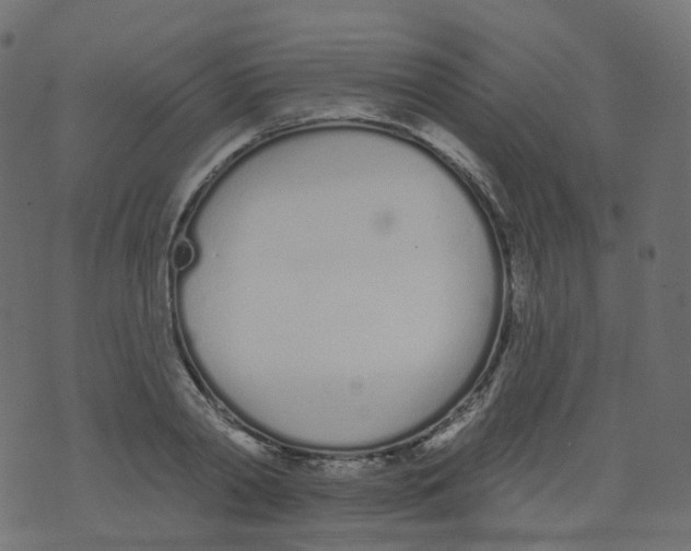 X0000073460790200608251730