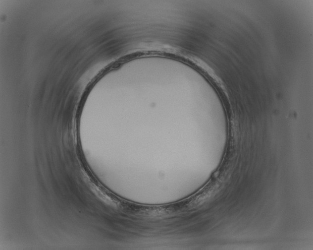 X0000073460791200608251730