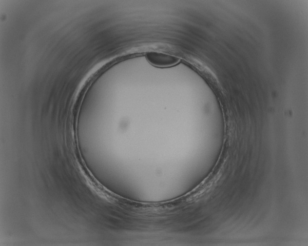 X0000073460792200608251730