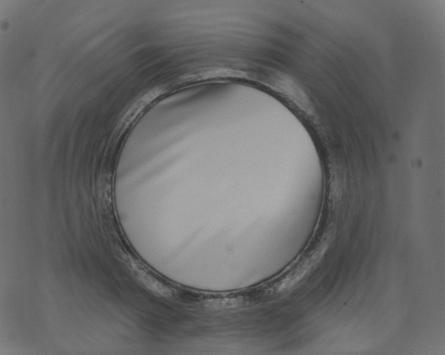 X0000073460793200608251730