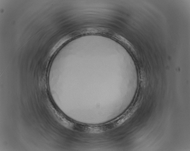 X0000073460794200608251730