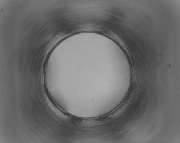 X0000073460795200608251730