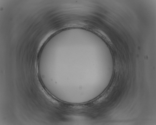 X0000073460796200608251730