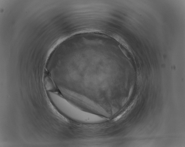 X0000073460797200608251730