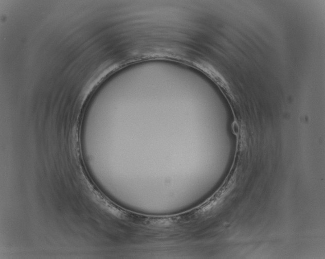 X0000073460798200608251730