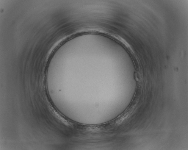 X0000073460799200608251730