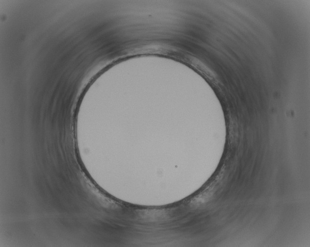 X0000073460800200608251730