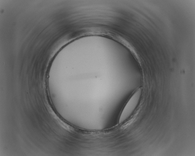 X0000073460803200608251730