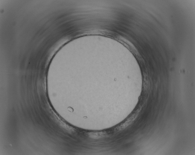 X0000073460804200608251730