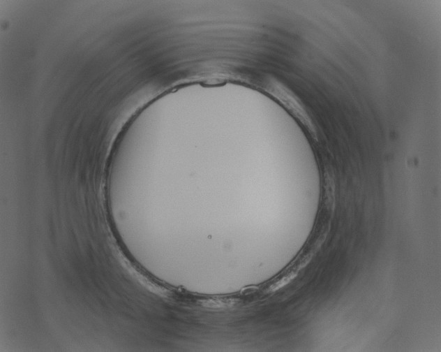 X0000073460805200608251730