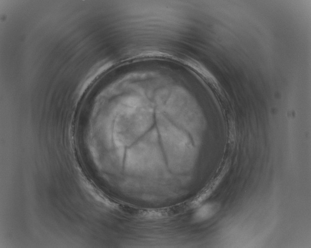 X0000073460806200608251730