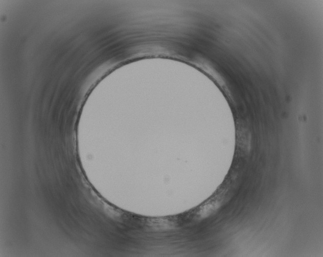 X0000073460807200608251730