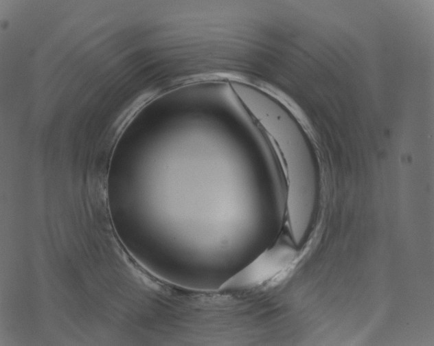 X0000073460809200608251730