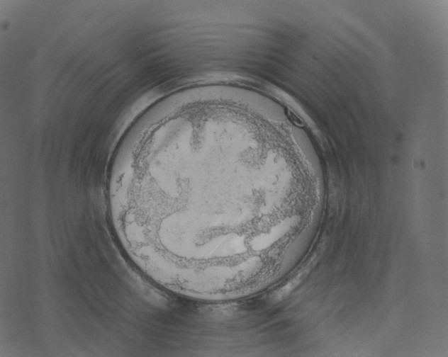 X0000073460810200608251730