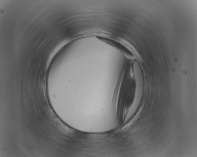 X0000073460812200608251730