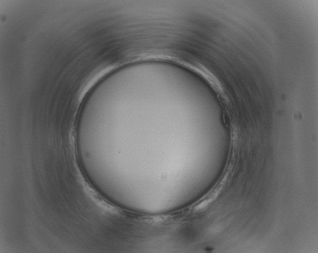 X0000073460814200608251730