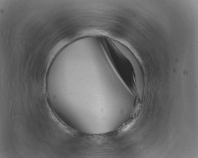 X0000073460815200608251730