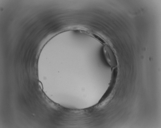 X0000073460816200608251730