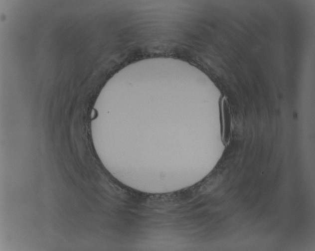 X0000073460817200608251729