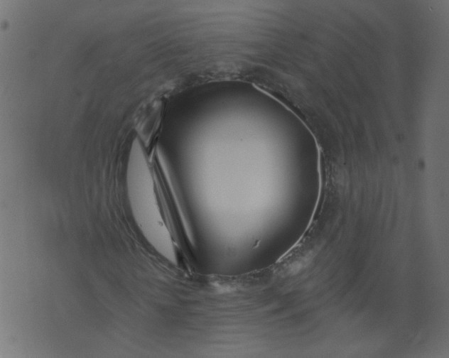 X0000073460818200608251729