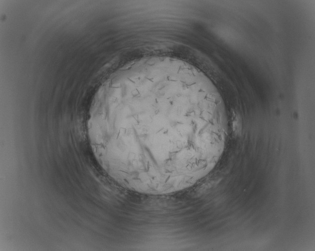 X0000073460819200608251729