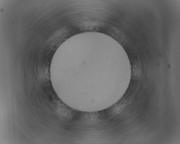 X0000073460820200608251729