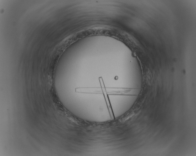 X0000073460821200608251729