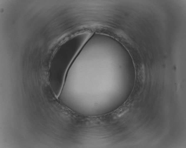 X0000073460822200608251729